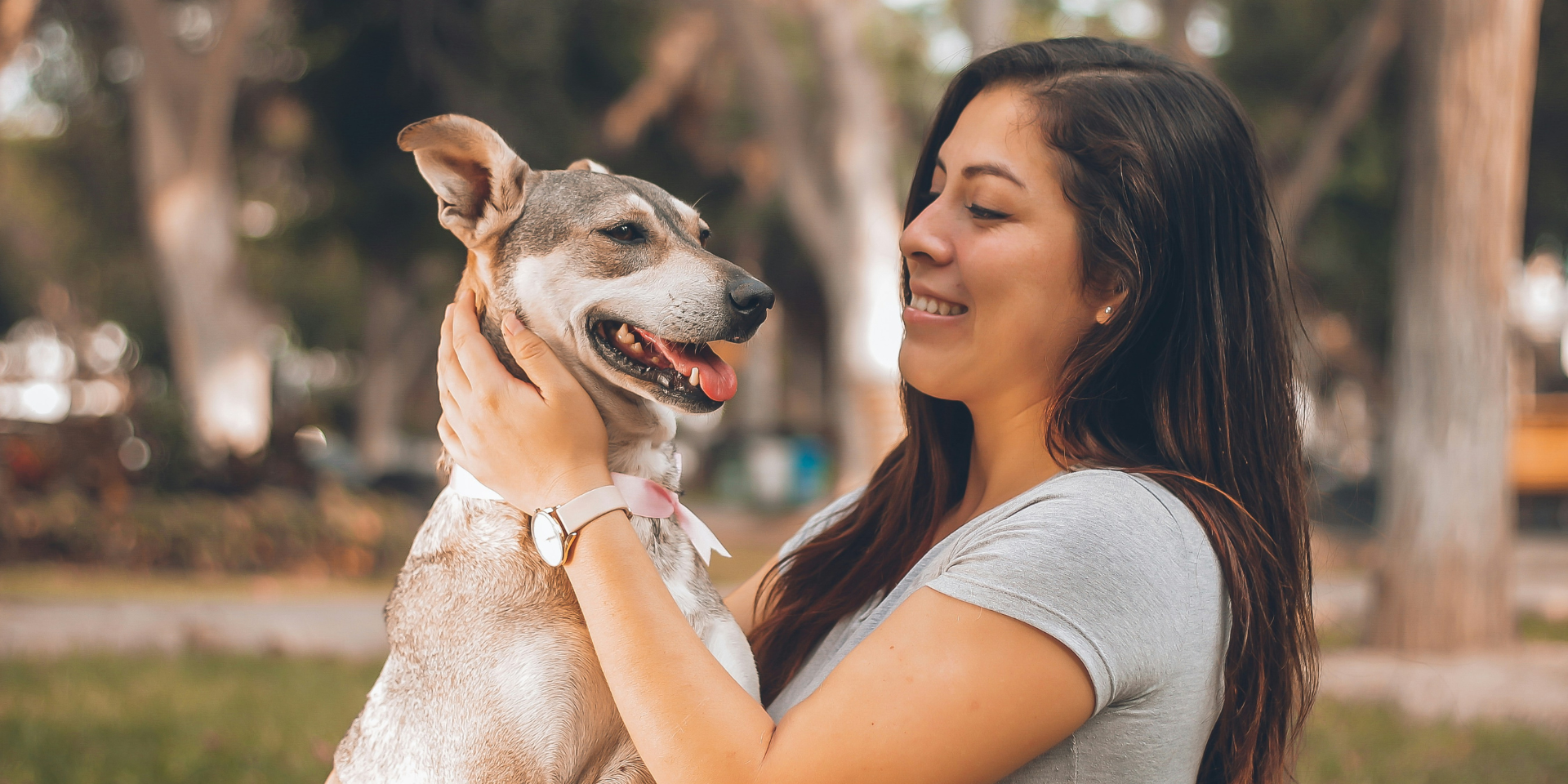 What to Prepare Before Adopting a Dog from a Shelter?